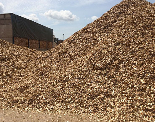 Forestry and Biomass